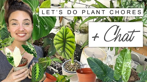 Chilled Chatty Plant Chores 💚 Transferring Plants To Pon + Exciting Updates 🌱