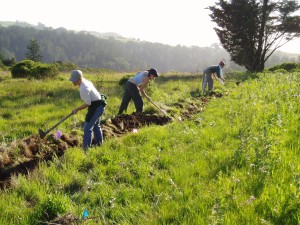 Organic farming and permaculture