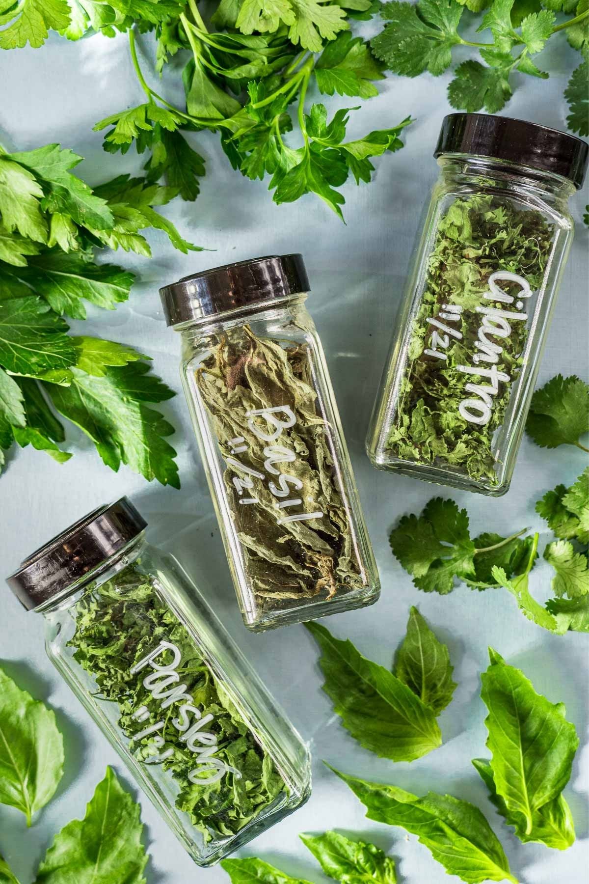 HOW TO MAKE HERBAL INFUSIONS AT HOME