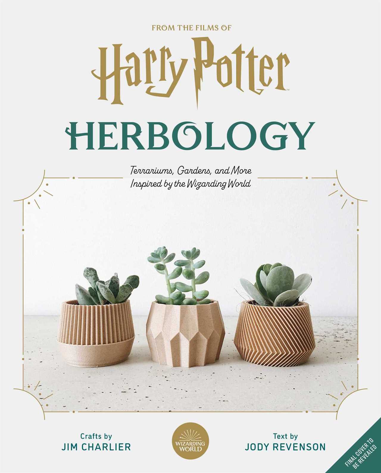 🌿 Herbs that Tonify the Yang - Herbology 3 Live Webinar  (5/26/23)