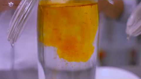 Saffron powder vs threads how to get the most out of your