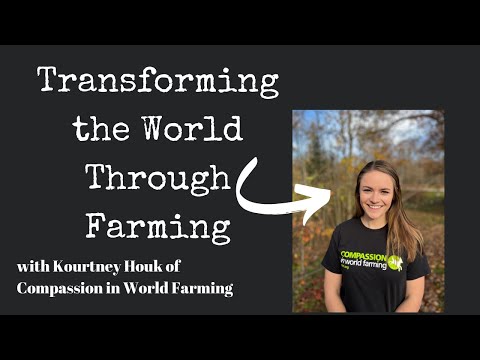 Transforming the world one farm at a time: a homestead conversation with Kourtney Houk