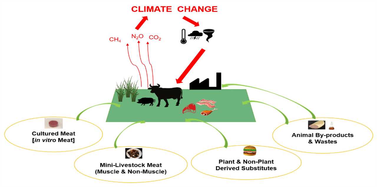 Organic meat and poultry and local food systems