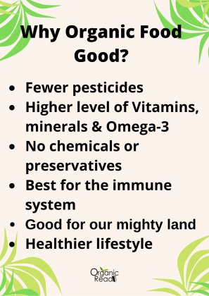 Eliot Coleman | Real Organic vs. Chemical Farming | 008