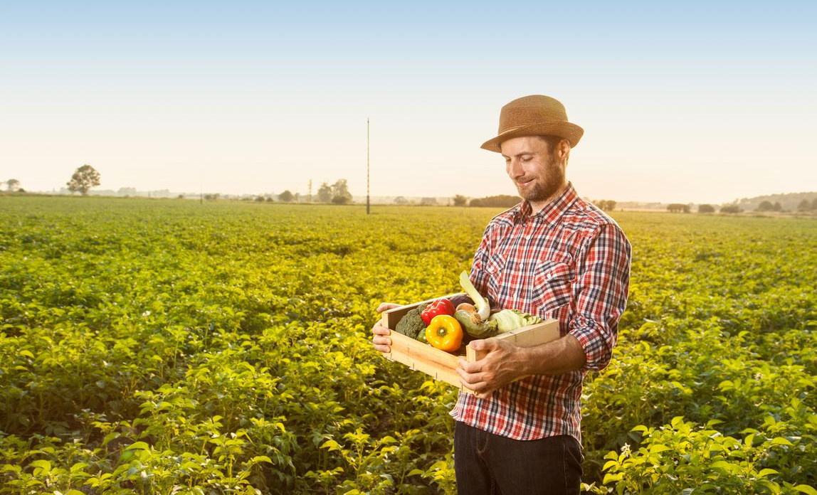 Organic farming startup costs and investment