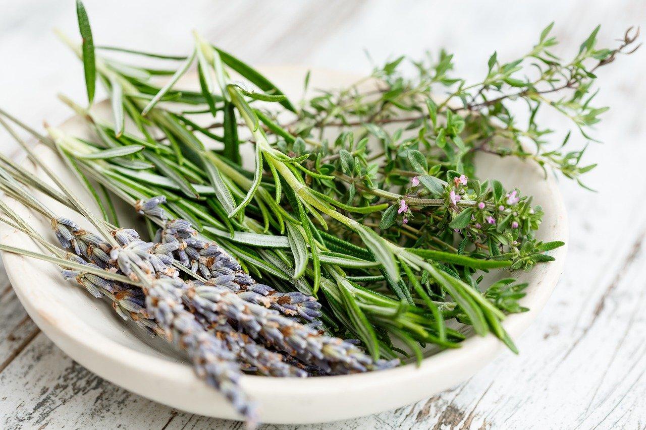 Cooking With Herbs? Skills That Bring your Kitchen To A Boil