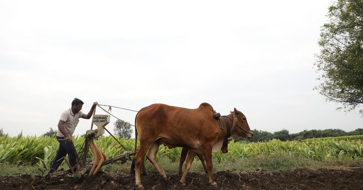 Let The Real Organic Farming Begin…