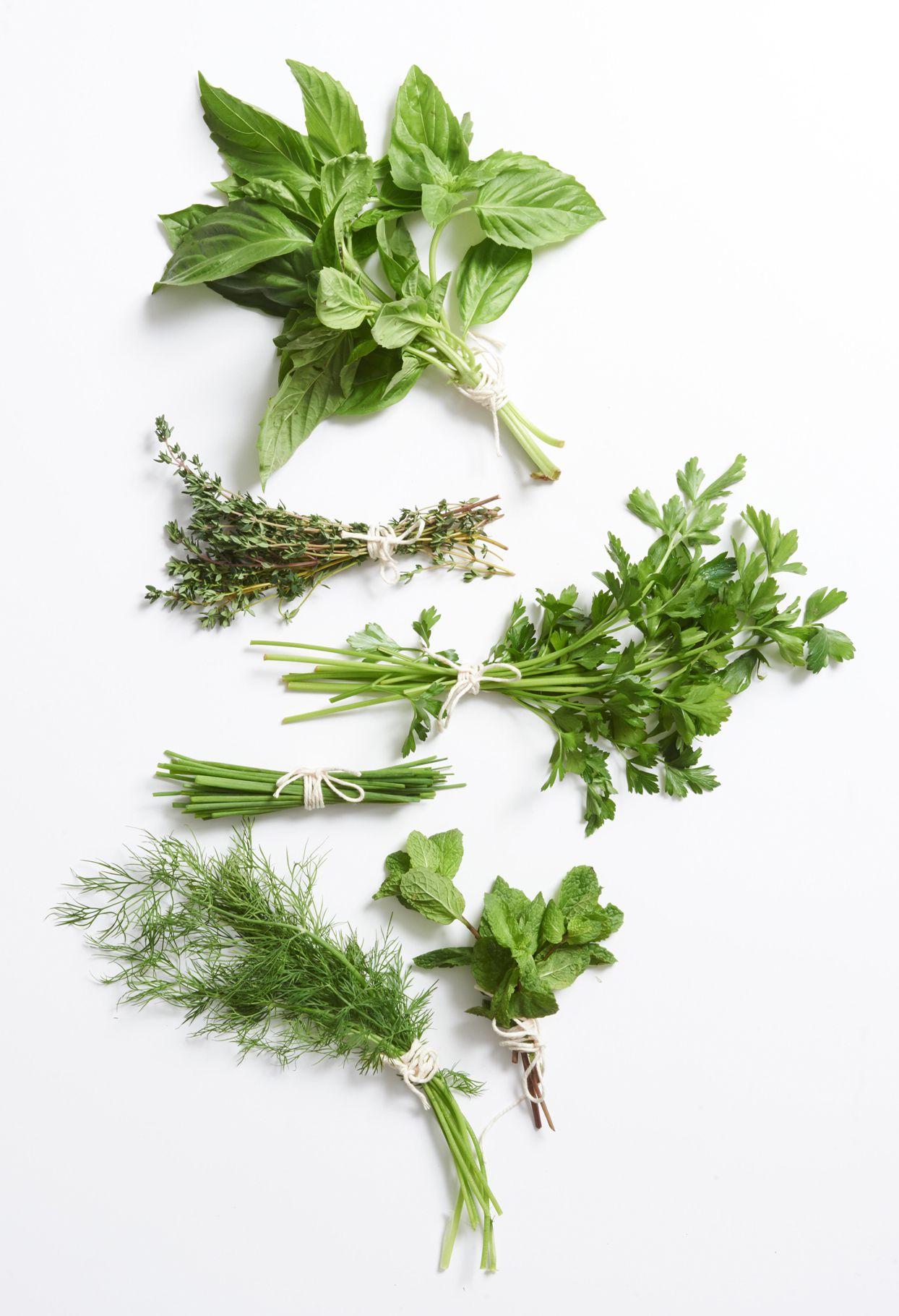 Drying and Storing Basil