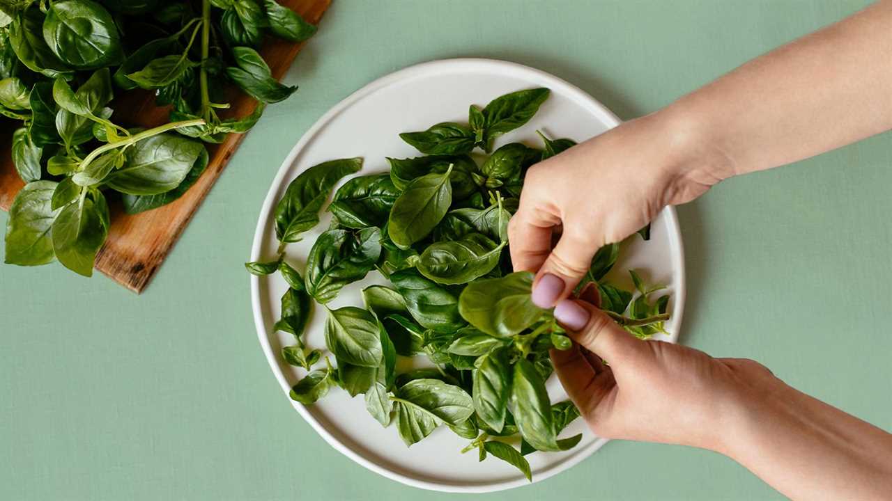 Drying and Storing Basil