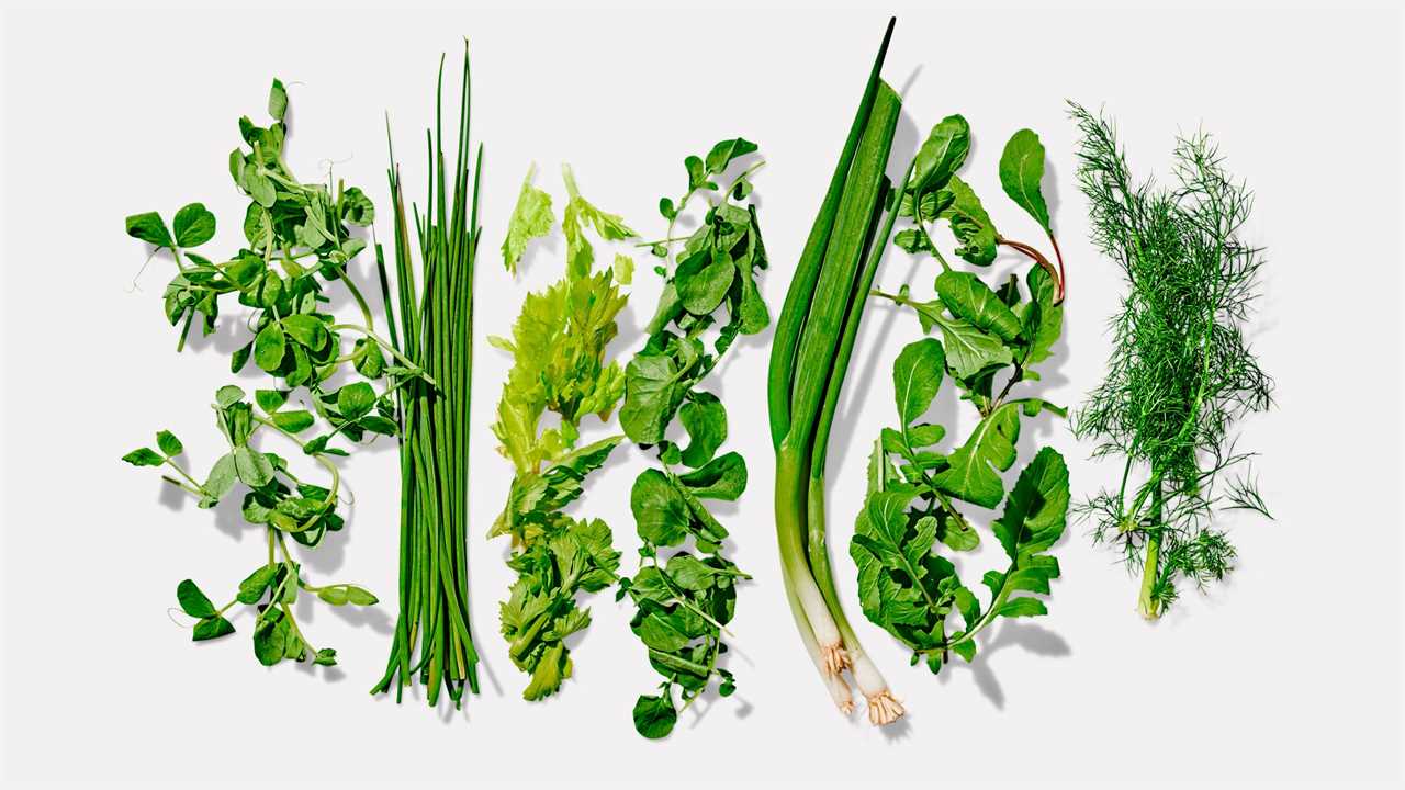 Drying and Storing Basil