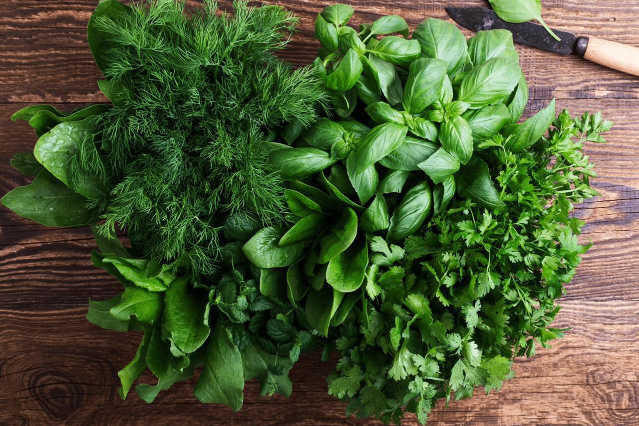 Spanish Herbs for Homemade Bread and Focaccia