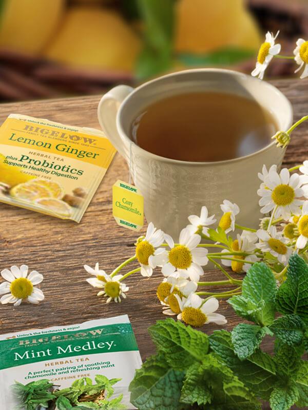 Chamomile Tea 101, Essential Info on this Worldwide Favorite