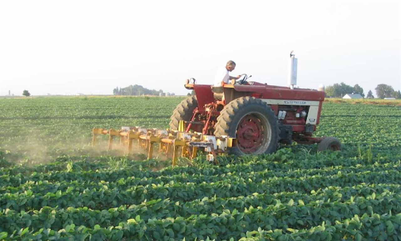 UNBELIEVABLE transformation from COW BARN to ORGANIC FARM!