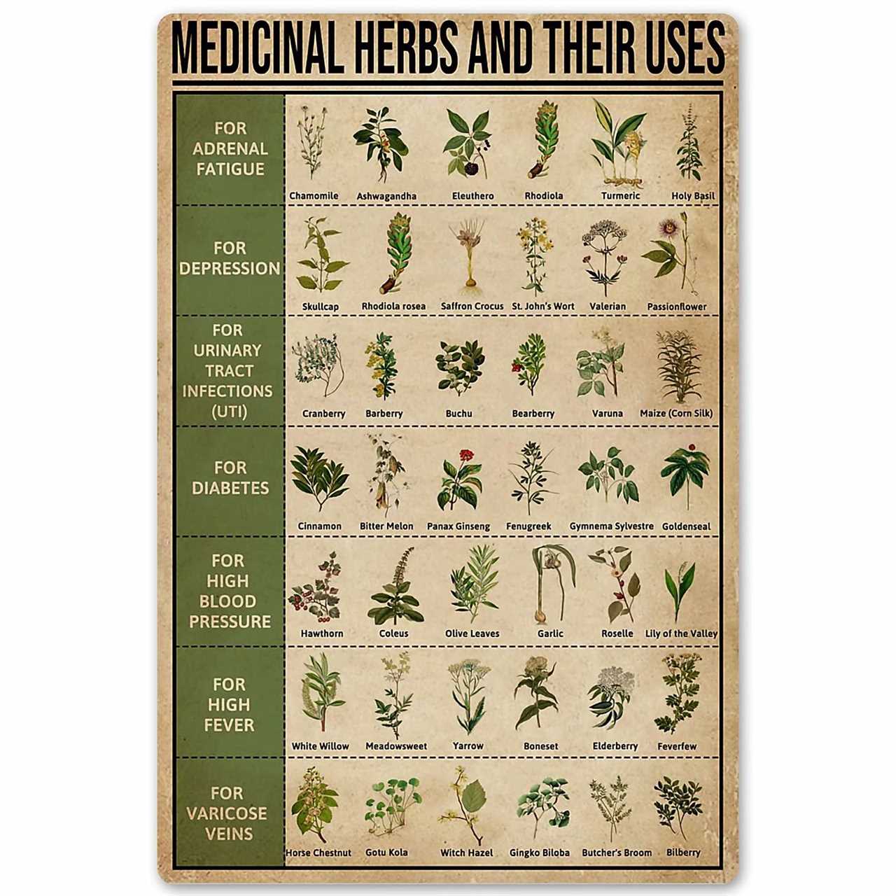 Herbal Teas and Their Uses