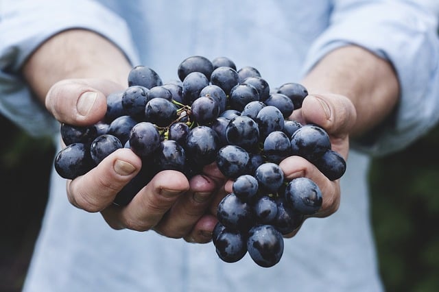 This Farm Bought A Composting Business (and moved it there)