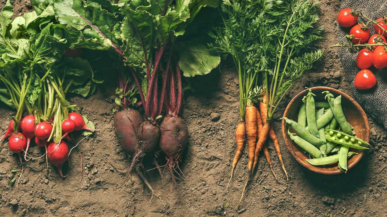 Harvesting Dinner for the First Time! It's humble but still a blessing!