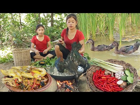Duck curry spicy delicious for lunch, wild food recipes - Adventure in forest