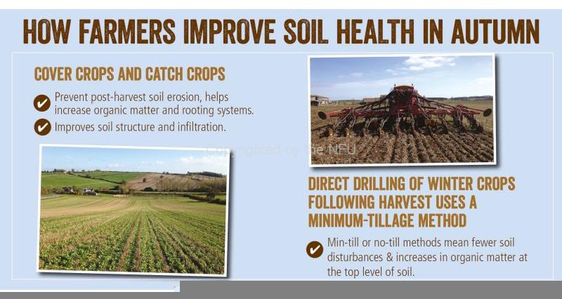 Organic farming and soil health