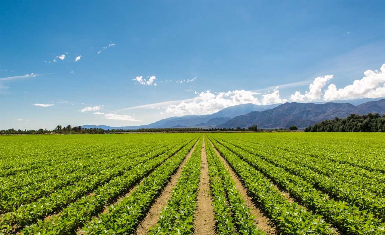 Creating a garden and planting agricultural products for family consumption in the mountainous area