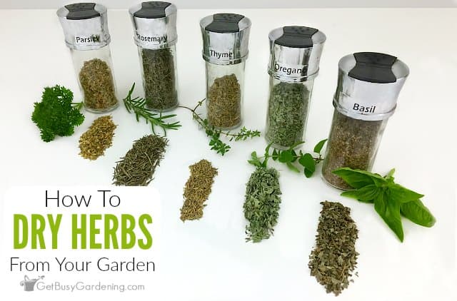 How Can You Make Your Herbs Last as Long as Possible?