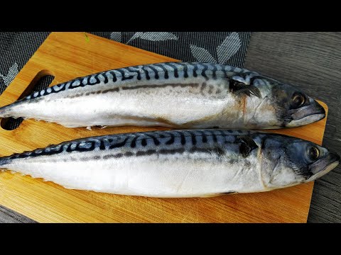 Few people cook like this! The Mackerel Recipe That Wowed Everyone! How to cook delicious fish