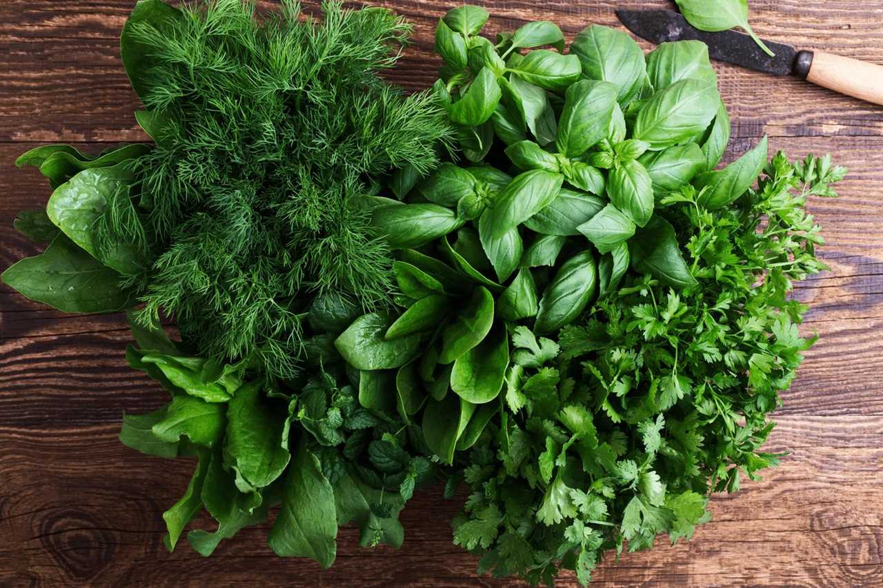 Basil: A Common Herb with a Legendary Secret/ Legend and Lore, Cultivation and Culinary