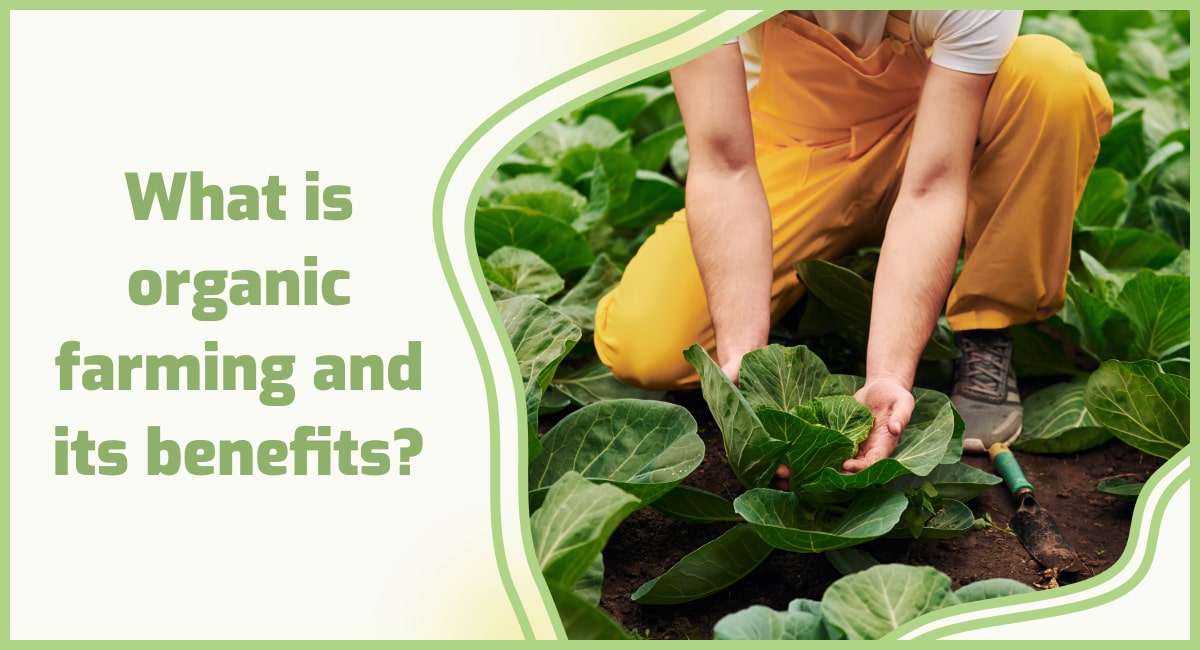 What is Organic Farming? Government schemes for Organic Farming explained #UPSC #IAS