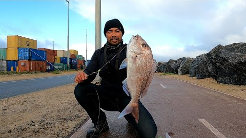 Target Species Pink Snapper CATCH  and COOK