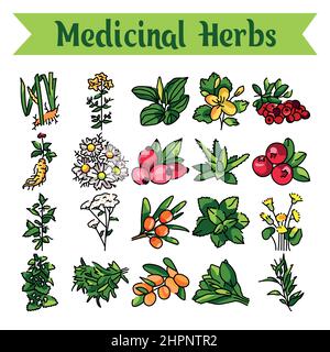 PEOPLE Must think ABOUT Starting a MEDICINAL Herb Garden