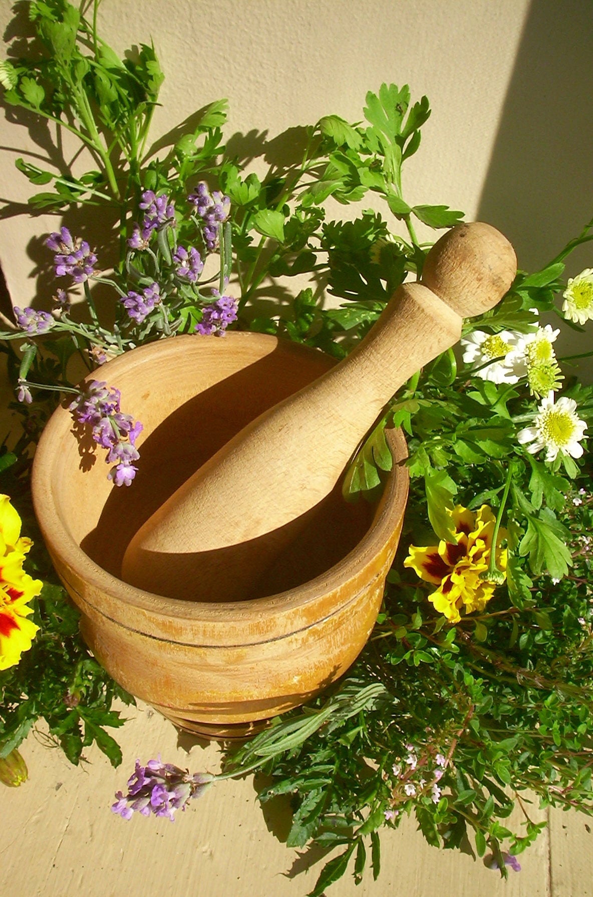 Master Recipe for Making a Medicinal Herbal Poultice using Fresh Herbs or Dried Herbs