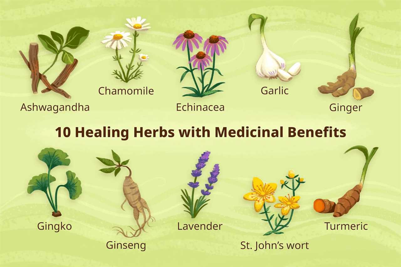 Dr. Fuhrman's top 10 immune boosting herbs and plants