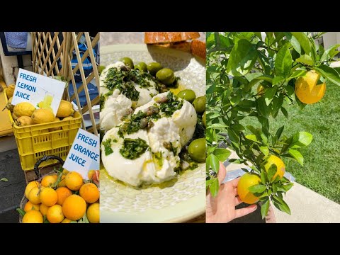 Live: Tasty Thursday - Life is Full of Lemons! - w/ Laura Vitale Episode 9