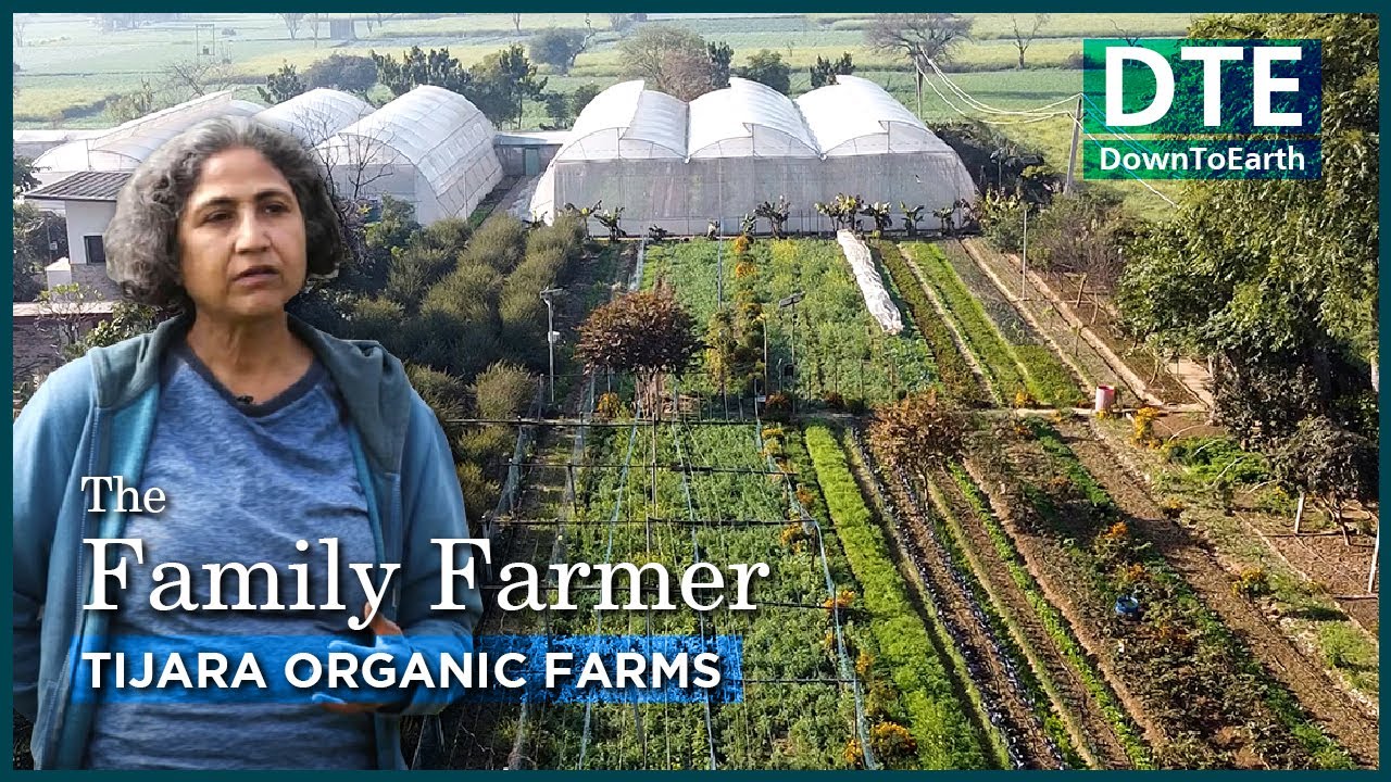 Freeman's Organic Farm | My Way