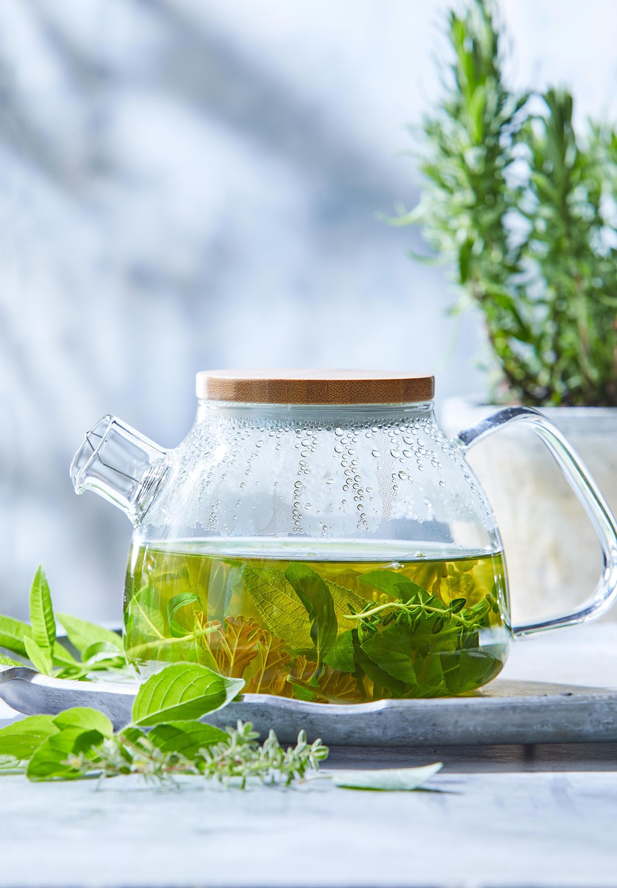 Drink Hot Herbal Tea Every Morning And See What Happen To Your Body | Herbal Tea Benefit