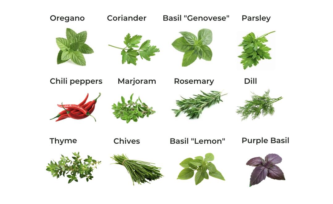Drink Hot Herbal Tea Every Morning And See What Happen To Your Body | Herbal Tea Benefit