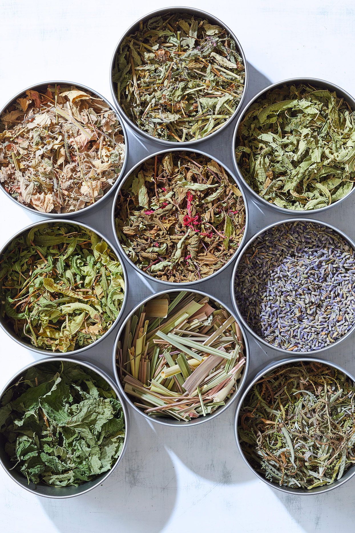 Medicinal Plants Sumac, Boneset, and Mountian Mint