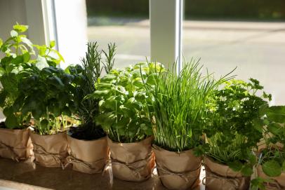 Don't let your fresh herbs go to waste!! FREEZE them! #freshherbs #gardentips #herbgarden