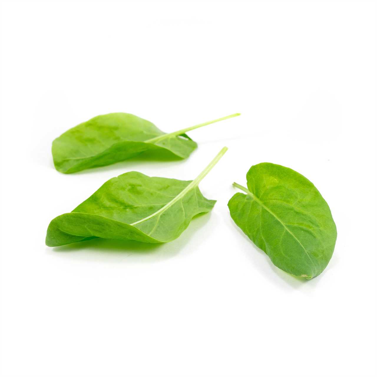 Sorrel The Tangy Green for Savory Creations