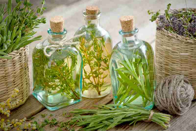 From Ordinary to Extraordinary Herb Infusions