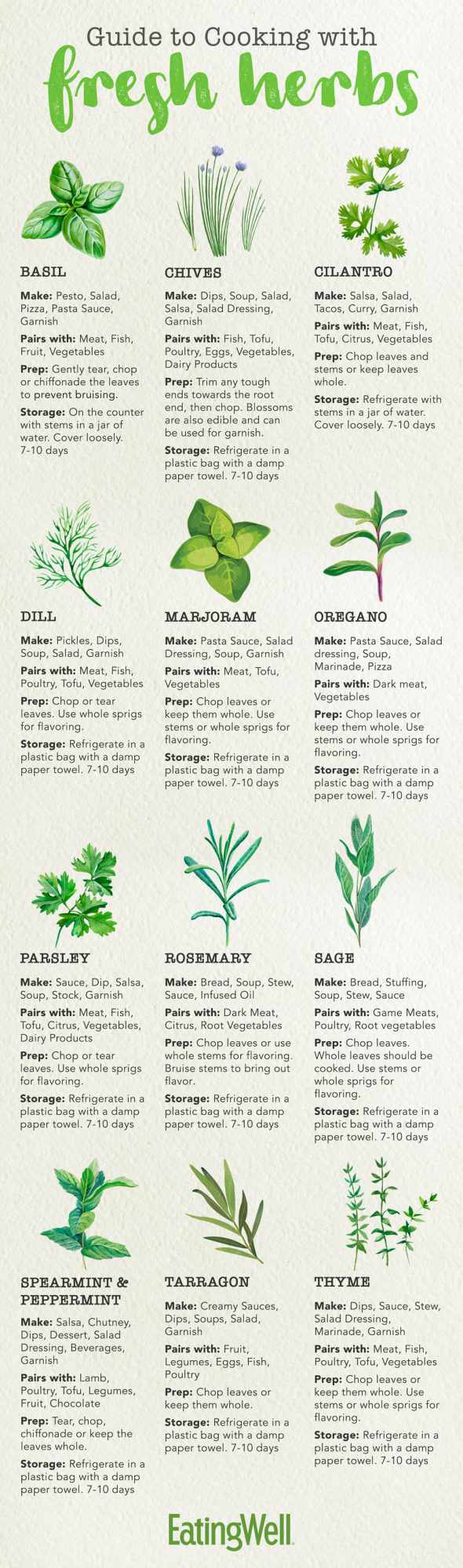Embracing Herb Gardens - Growing Your Own Fresh Flavors!
