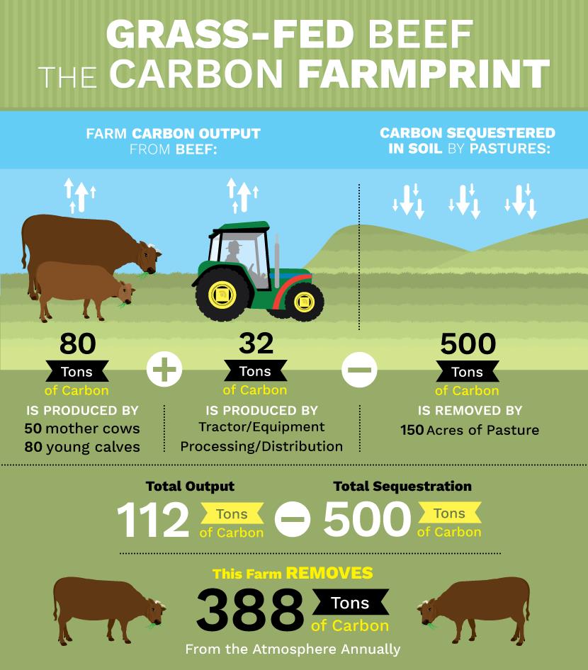 Unlock the Art of Responsible Eating GrassFed Beef