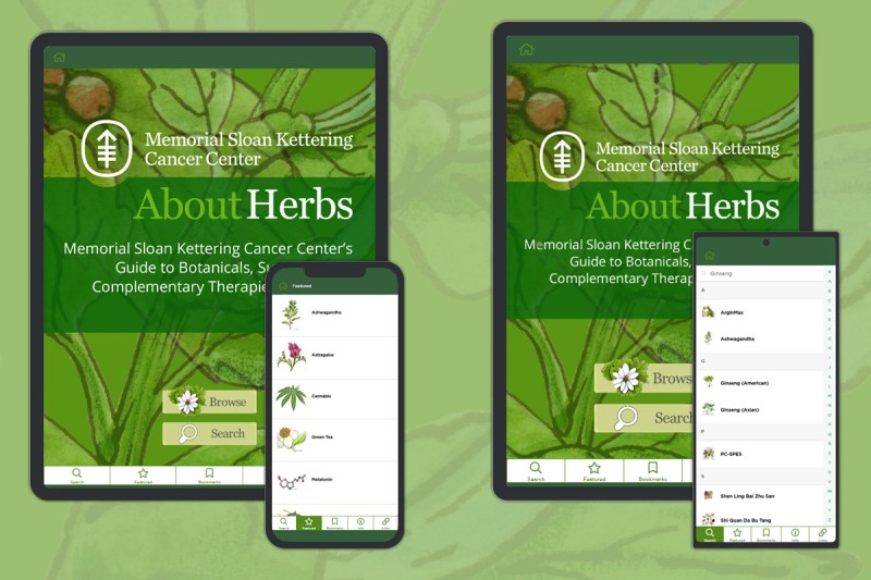 Herbs Beyond the Typical | Volunteer Gardener