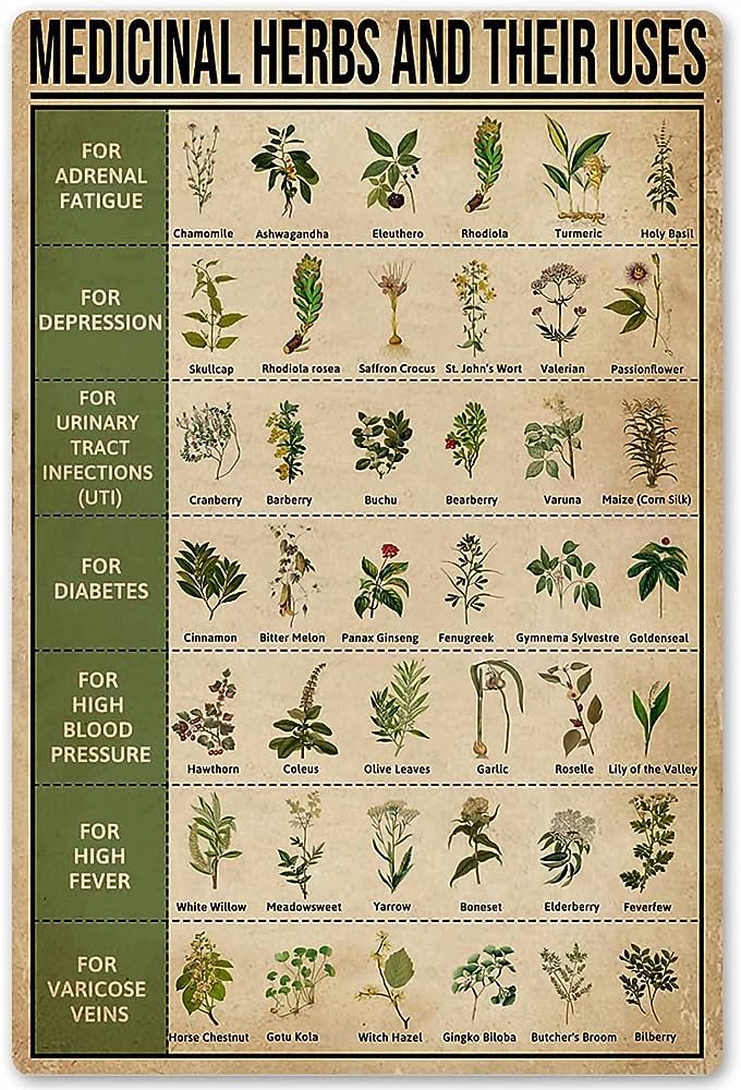 Herb Gardening, Medicinal Plants To Grow Your Own Medicine