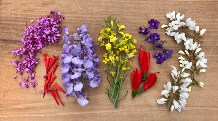 Discover the Vibrant World of Edible Flowers