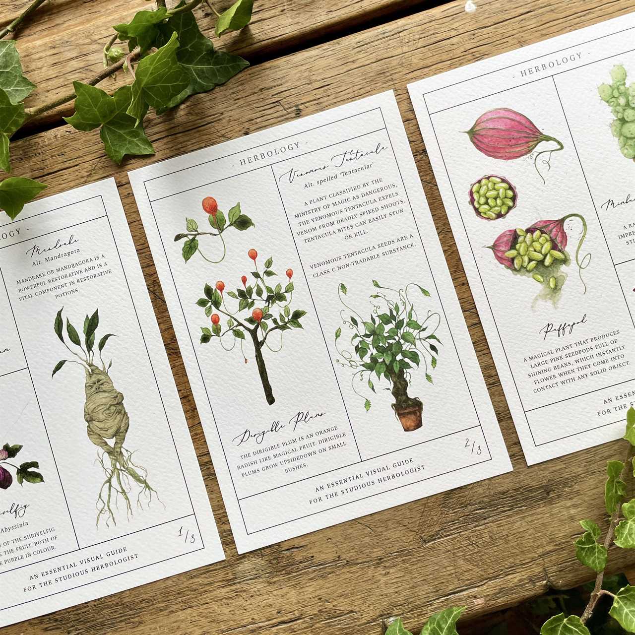 How To Get Started Learning Herbalism