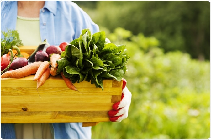 collecting green chilli and lots of organic vegetables |  | Cooking & Eating ,fish,