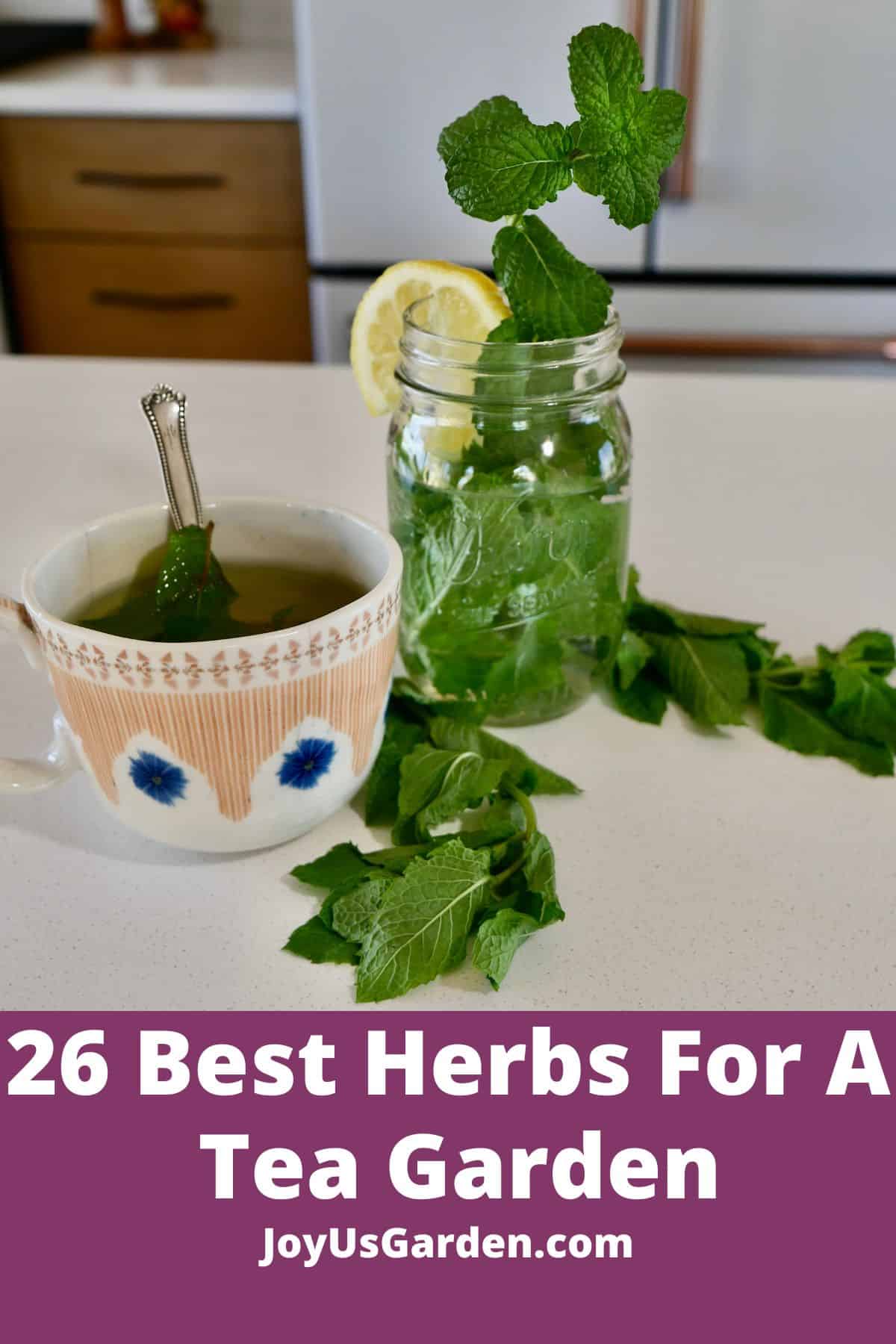 Top 5  Herbal Teas That Clean Arteries, Normalize High Blood Pressure & Prevent Heart Attack