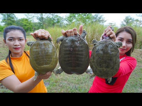 Cook turtle soup and roasted with salt recipe - Amazing cooking