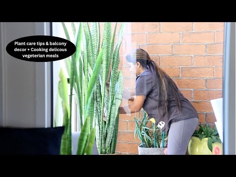 Daily life vlog | Plant care tips, Gardening + Balcony decor | Cooking delicious vegetarian meals