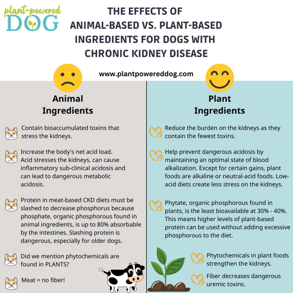 Support Optimal Kidney Function with Organic Food